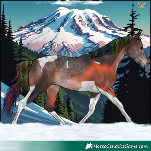 Horse Color:Painted Brown Tobiano 