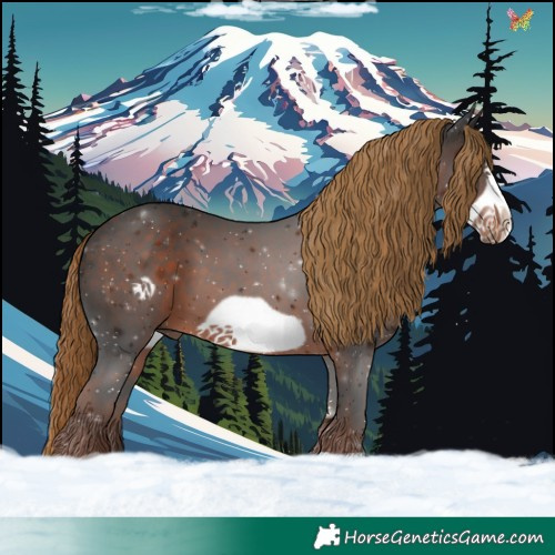 Horse Color:Liver Chestnut Frame 