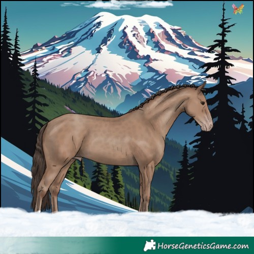 Horse Color:Classic Champagne 