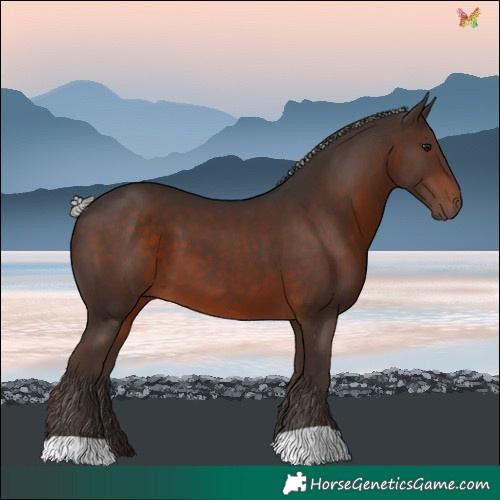 Horse Color:Silver Brown 