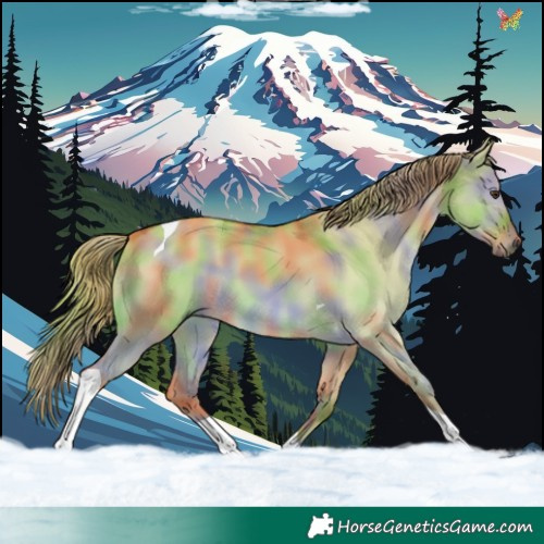 Horse Color:Nacre Red Dun Tobiano 