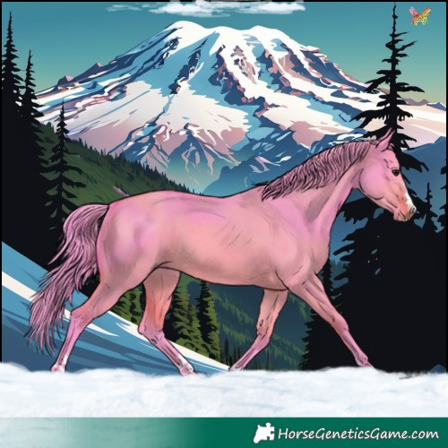 Horse Color:Watercolor Bay Dun 