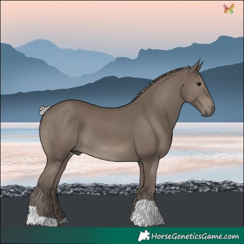 Horse Color:Silver Black 