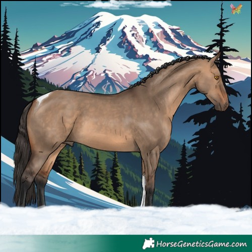 Horse Color:Bay Dun Tobiano 