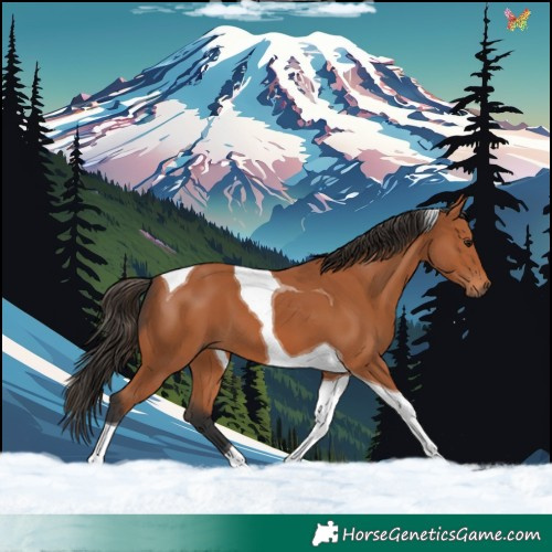 Horse Color:Bay Tobiano 