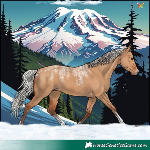 Horse Color:Powder White Silver Bay Dun 
