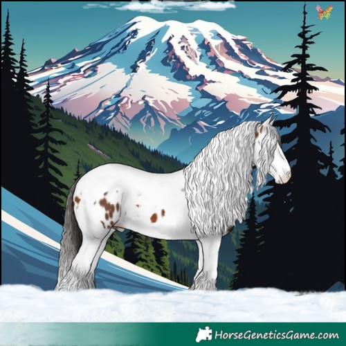 Horse Color:Bay Splash Tobiano Appaloosa