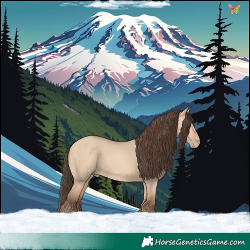 Horse Color:Amber Champagne Dun 