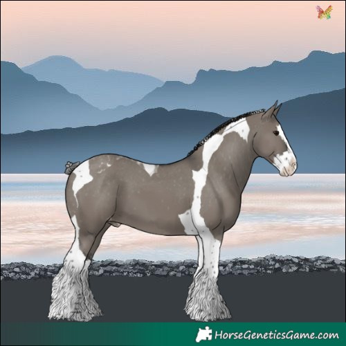 Horse Color:Grullo Splash Tobiano Varnish 