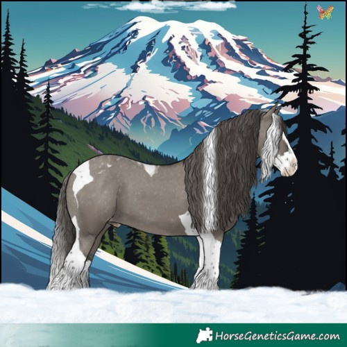 Horse Color:Grullo Splash Tobiano Appaloosa 