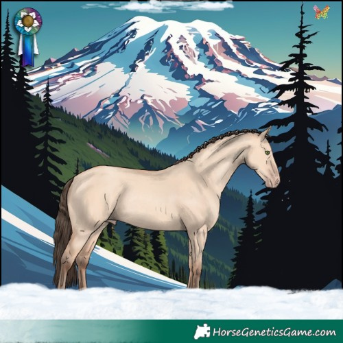 Horse Color:Amber Champagne Dun Rabicano 
