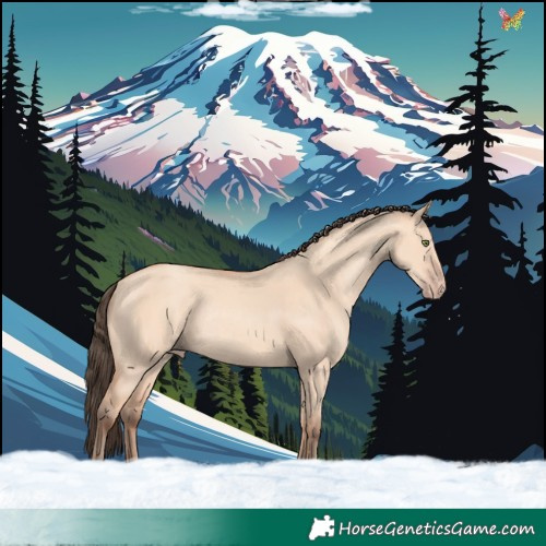 Horse Color:Amber Champagne Dun Rabicano