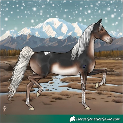 Horse Color:Liver Chestnut Mushroom Tobiano Rabicano