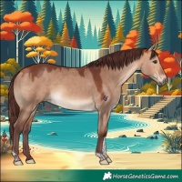 Horse Color:Chocolate Bay Dun Tobiano Rabicano 