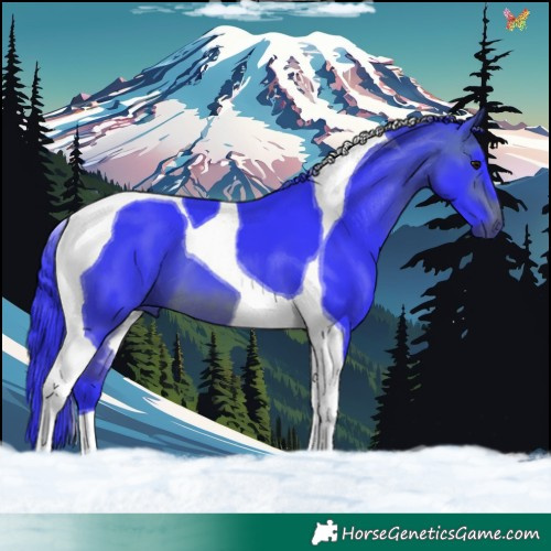 Horse Color:Watercolor Brown Tobiano 