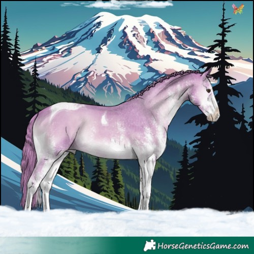 Horse Color:Watercolor White Spotted Red Onyx Tobiano