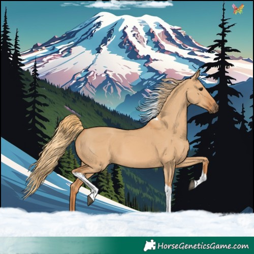 Horse Color:Red Dun Tobiano 