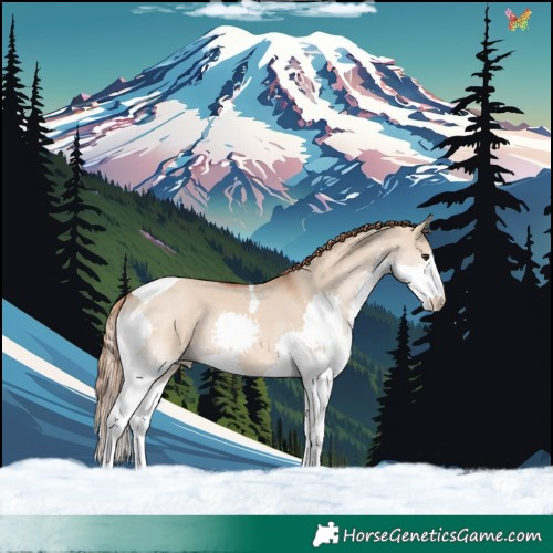 Horse Color:Red Dun Splash Tobiano Rabicano 