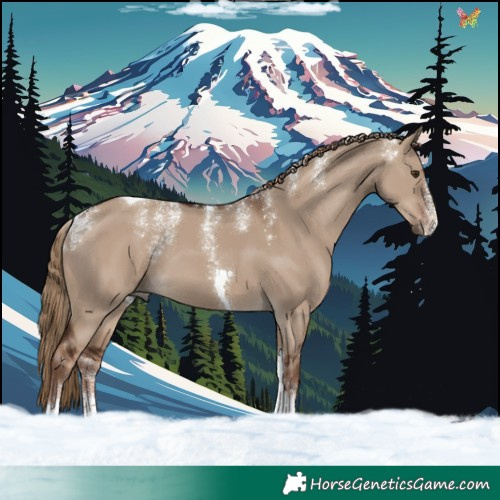 Horse Color:Powder White Liver Red Dun Tobiano 