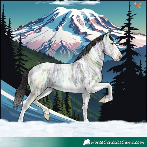 Horse Color:Smoky Black Ice Sabino Tobiano 