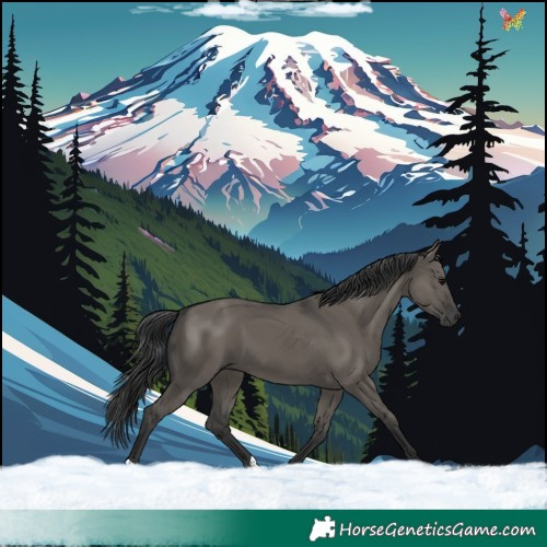 Horse Color:Grullo 