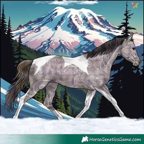 Horse Color:Plaid  Grullo Ice Tobiano 