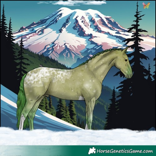 Horse Color:Watercolor Grullo Ice Tobiano Rabicano 