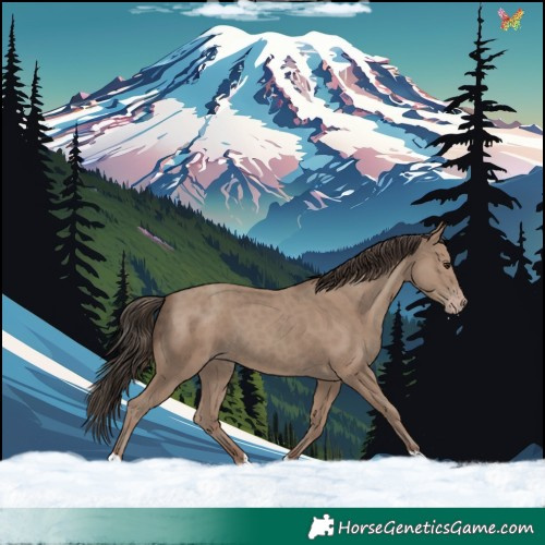 Horse Color:Classic Champagne 