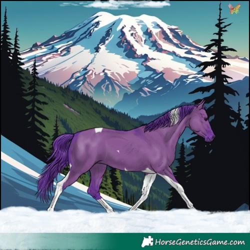 Horse Color:Watercolor Grullo Tobiano 