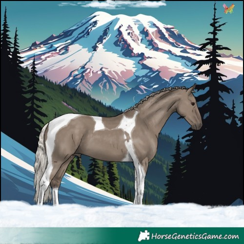 Horse Color:Silver Grullo Tobiano