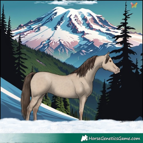Horse Color:Classic Champagne Dun