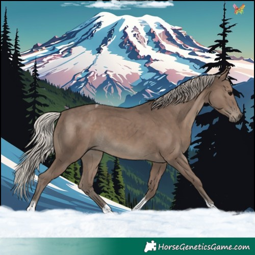 Horse Color:Silver Black Tobiano 