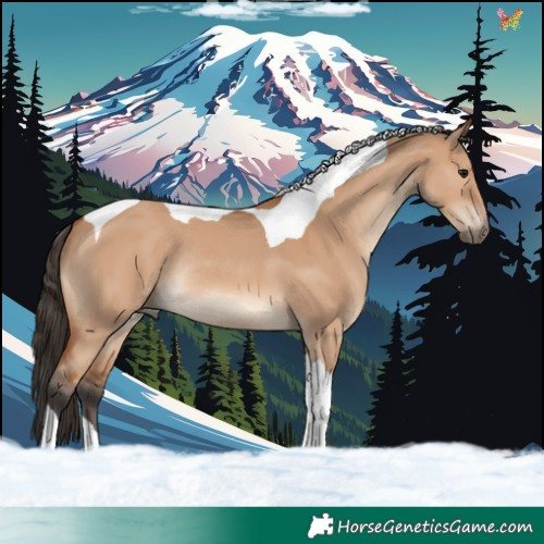 Horse Color:Bay Dun Tobiano Rabicano 