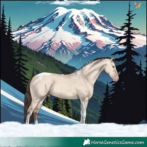 Horse Color:Amber Champagne Dun Tobiano 