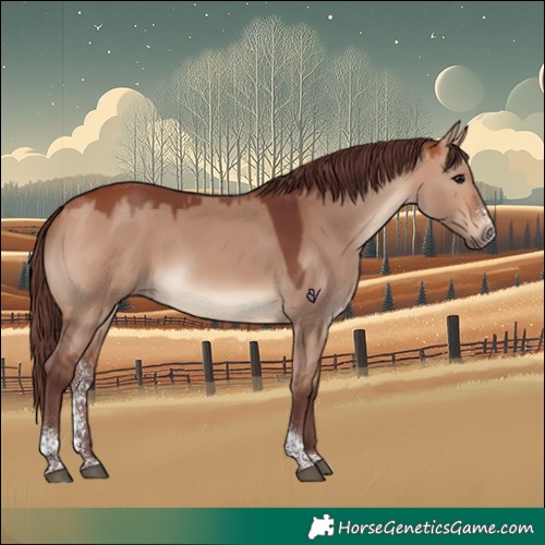 Horse Color:Chocolate Bay Dun Sabino Tobiano Rabicano 