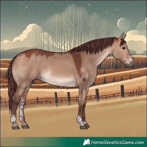 Horse Color:Chocolate Bay Dun Sabino Tobiano Rabicano 