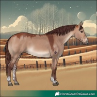 Horse Color:Chocolate Bay Dun Sabino Tobiano Rabicano 