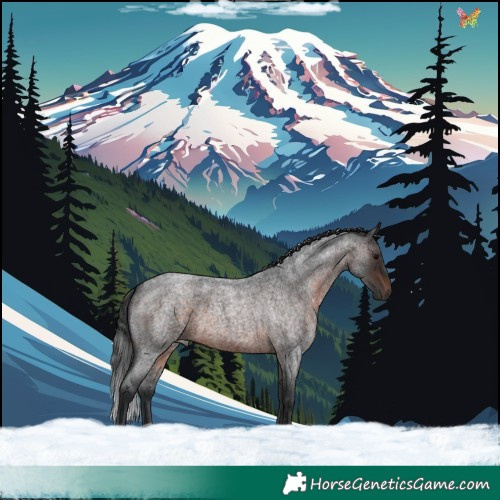 Horse Color:Brown Roan 