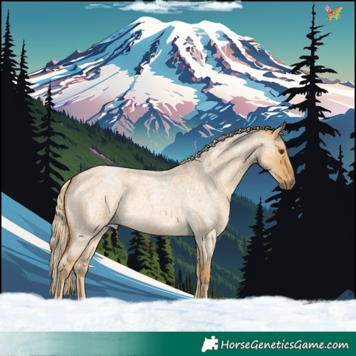 Horse Color:Palomino Roan Dun 
