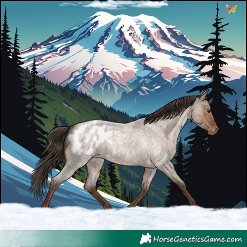 Horse Color:Liver Red Dun Roan Blanket 