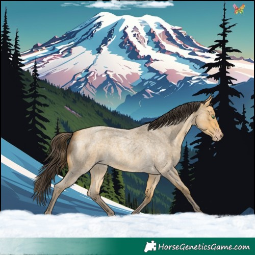 Horse Color:Amber Cream Champagne Roan 