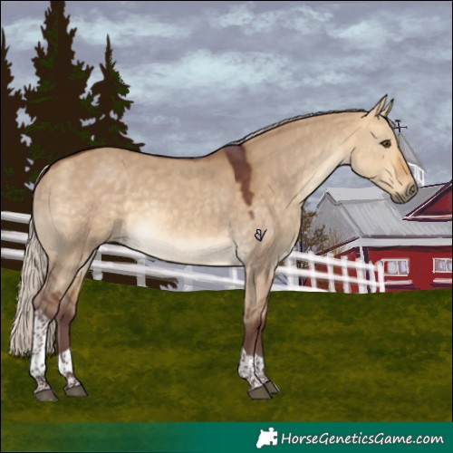Horse Color:Chocolate Silver Buckskin Dun Tobiano 