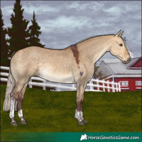 Horse Color:Chocolate Silver Buckskin Dun Tobiano