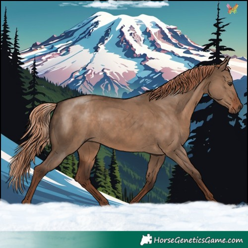 Horse Color:Void White Spotted Liver Red Dun 