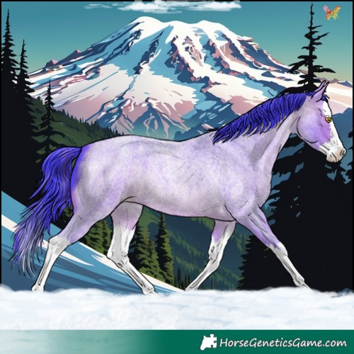 Horse Color:Watercolor Sable Champagne Roan Splash 