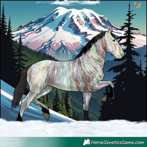 Horse Color:Void Brown Ice Tobiano 