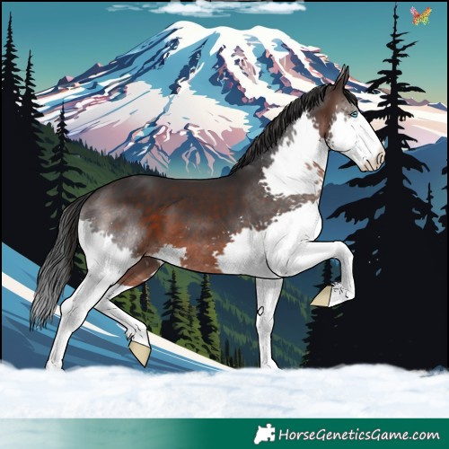 Horse Color:Brown Splash 