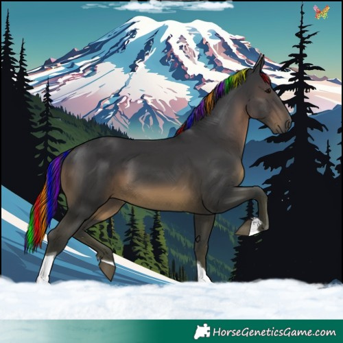 Horse Color:Painted Black Tobiano 