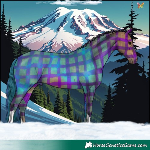 Horse Color:Plaid Bay Tobiano