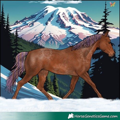Horse Color:Painted Chestnut 